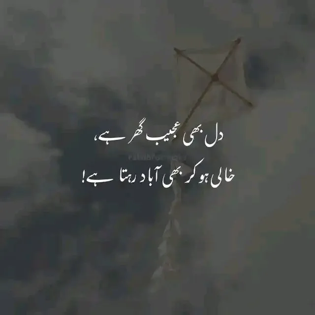 Photo by Mohsin Ghallo: #####For you