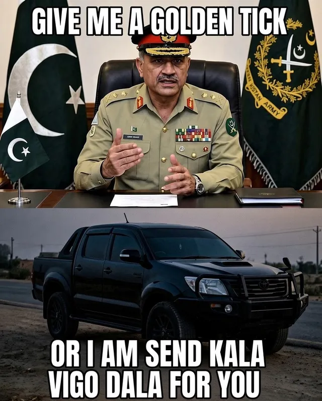 Photo by Field Martial Asim Munir🏅