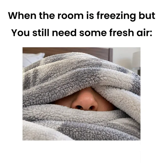 Photo by Sarcastic Awaan: کمبل چھوڑنا؟ ہرگز نہیں! 
Leaving the blanket? Absolutely NOT! 😂🛌❄️