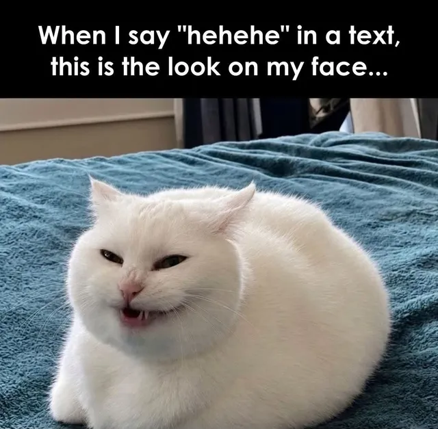 Photo by Sarcastic Awaan: After typing 'hehehe' in chat, the inner devil inside me smiles just like this. 😼